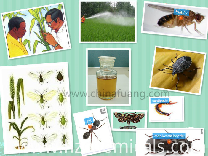 Acetamiprid+ Endosulfan 20%+30% Wp Technical 95% Endosulfan
